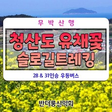 [전남 완도군 청산면] 무박 ) 청산도유채꽃 슬로걷기축제 슬로시티 28인승 우등버스