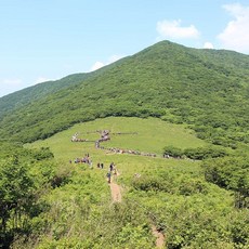 곰배령버스