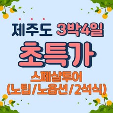 [전국출발제주도] (노팁/노옵션/2석식) 제주도 3박4일 실속 패키지