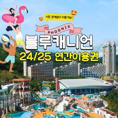 [강원도] 휘닉스파크 블루캐니언 연간이용권 한정판매 24/25시즌 (워터파크,강원도)
