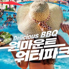 fxlion나노원v마운트배터리50wh