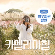 [제주] (♥추가혜택+1♥) 카멜리아힐