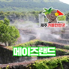 [제주] 메이즈랜드+제주가볼만한 곳