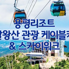 용평리조트리프트권 TOP01