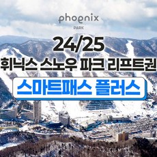 [강원] 24/25 휘닉스파크 스키 리프트권(스마트패스 플러스)
