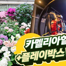 [제주시,서귀서부] |제주|카멜리아힐+플레이박스VR