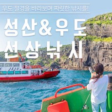 제주패스 TOP01