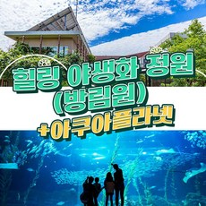 갤러리아광교아쿠아플라넷