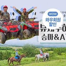 제주말타기