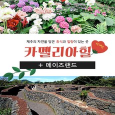 [제주동부,서귀서부] |제주|카멜리아힐+메이즈랜드