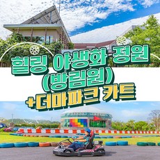 더마파크