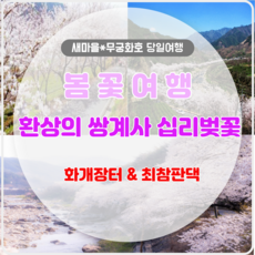 추천8하동쌍계사벚꽃