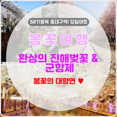 추천9진해벚꽃축제
