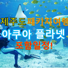 [제주도] 제주도패키지여행/아쿠아플라넷포함/버스투어패키지/항공/여행/식사포함