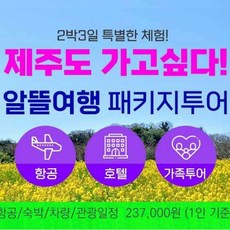 [제주] 실속 알뜰여행 제주도가고싶다!  제주여행 2박3일