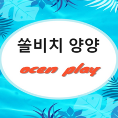 [강원 양양] 당일가능★]양양 쏠비치 오션플레이 종일권 대인소인 모바일전송