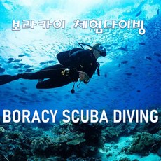 [보라카이] 보라카이스쿠버다이빙 (보라카이체험다이빙)