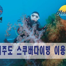 제주도padi