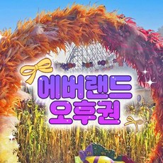 [용인] 에버랜드 오후이용권 (방문날짜지정) (~12/1)