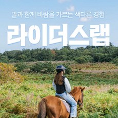 [제주] [제주] 라이더스랩 승마