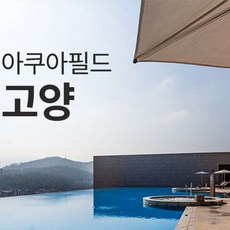 [고양] 아쿠아필드 고양 루프탑풀(~08/18)