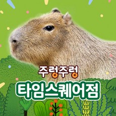 [서울] 주렁주렁 실내 동물원 영등포점