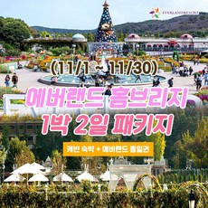 [용인] 11월 에버랜드 용인 홈브리지 캐빈호스텔 1박+종일권