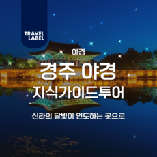 [경주] 경주 야경 가이드 투어