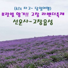 [출발확정] [KTX]보랏빛 향기! 고창 라벤더축제&선운사~고창읍성 기차여행(5/25-6/25토,일)