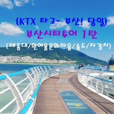 [출발확정] [KTX]부산시티투어 1탄(태종대/흰여울문화마을/송도/자갈치)_당일연합