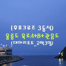 [출발확정] [후포항 집결 3등석]울릉도 육로A+B+관음도(대아리조트_2박3일)