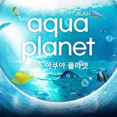 [제주] 아쿠아플라넷+낙타트래킹