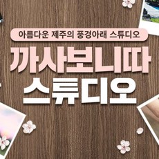 [제주] 까사보니따 스튜디오 커플 스냅 촬영 