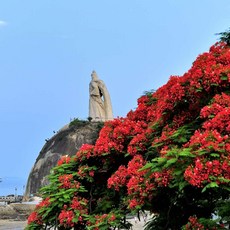 [샤먼] [하나투어]인천출발 하문항공 [이색체험]샤먼(하문)/고랑서/토루 4일