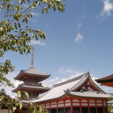 [오사카] 인천출발 티웨이항공 오사카/고베/나라 3일 #JOP171TWC #유니버설스튜디오재팬