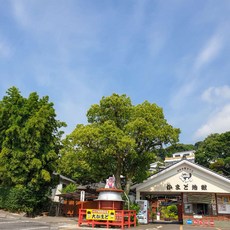 [우베] [하나투어]부산출발 선박 후쿠오카/시모노세키 3일  #JKP433P0J #부관훼리