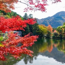 [후쿠오카] [하나투어]인천출발 대한항공 [집중모객][홈쇼핑에디션][대한항공탑승] 규슈 4일