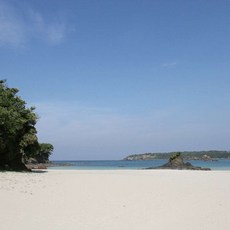 대마도 TOP01