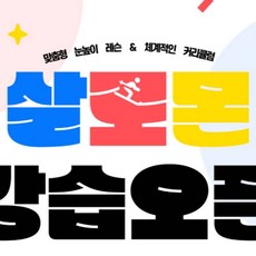 [경기 광주] 곤지암리조트 살로몬스키스쿨 스키/보드강습, 렌탈