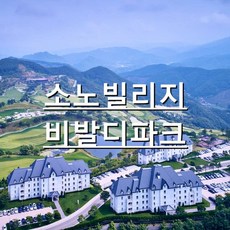 [홍천소노빌리지] 소노펠리체빌리지비발디파크