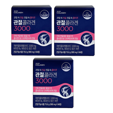 에버콜라겐 관절 콜라겐 3000 900mg x 84정 3개