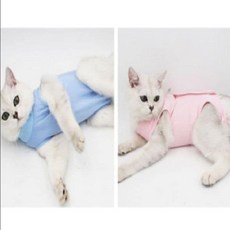 반려동물용품 켈리몰 강아지 고양이 스판 중성화수술복 중성화옷 애완용품, 1개