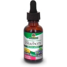 Nature s Answer 블루베리 잎 저알코올 함유 1액량, 1개, 30ml