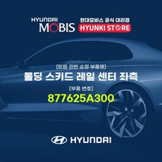 현대모비스 몰딩 스키드 레일 센터 좌측 (877625A300)