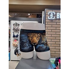 보디가드드로즈