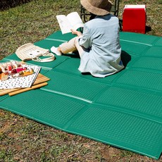 파크론피크닉시트