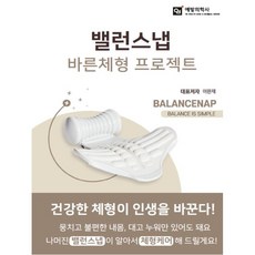 밸런스냅