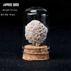 돌 반려돌 돌멩이 애완용 키우기 원석 광석 애완돌, 1개, 32. 데저트 로즈 플러스 병