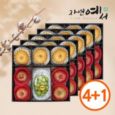 초록자연 명품 혼합 1호 과일선물세트(5개입), 없음, 1개