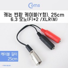 스토닉오디오짹